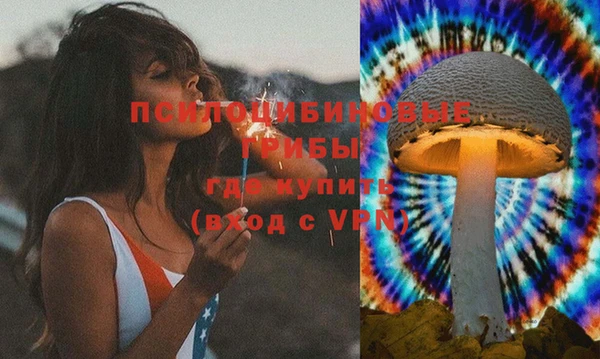 ПСИЛОЦИБИНОВЫЕ ГРИБЫ Алексин