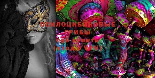 трава Абинск