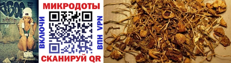 Псилоцибиновые грибы Psilocybe  mega ссылки  Златоуст  где купить наркотик 